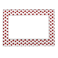 Ladybugs Design Magnetic Frame