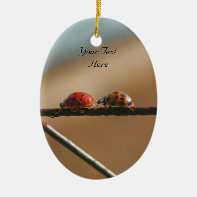 Ladybugs Follow Leader Cute Nature Ornament (Front)