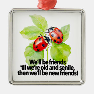 Ladybugs friendship quote funny BFF old senile  Metal Ornament