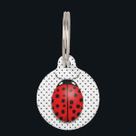 Ladybugs in red pet tag<br><div class="desc">Copyrighted three dimensional looking ladybugs in a fun polka dots pattern. Customize, personalize, and choose your background color.</div>