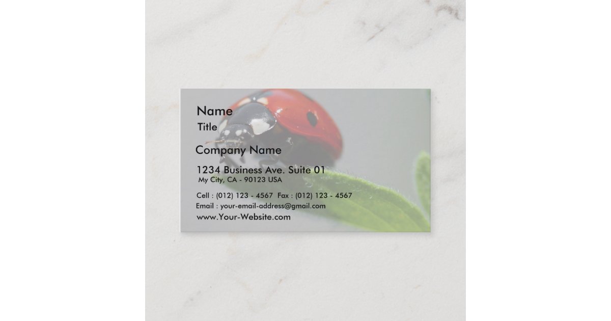Ladybugs Insects Business Card | Zazzle