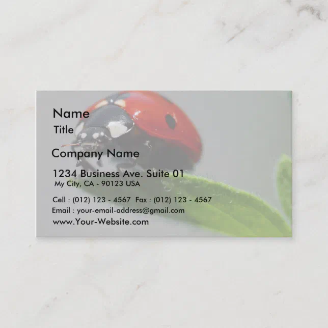 Ladybugs Insects Business Card | Zazzle