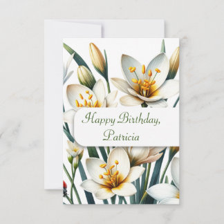 Ladybug's Lily Haven