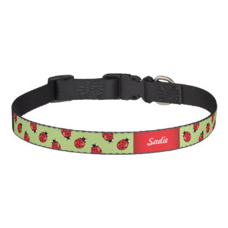 Ladybugs On Green With Custom Dog's Name Pet Collar