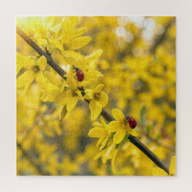 Ladybugs on Yellow Forsythia Branch Jigsaw Puzzle (Vertical)