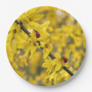 Ladybugs on Yellow Forsythia Branch Paper Plates