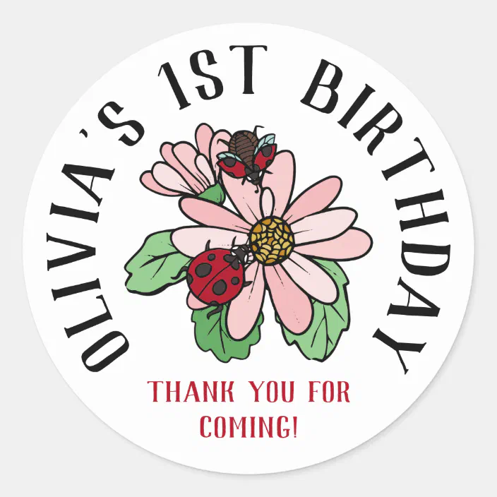 Round Labels Personalized Customized Birthday Party Favor Thank You Stickers Choose Your Size Spring Ladybug