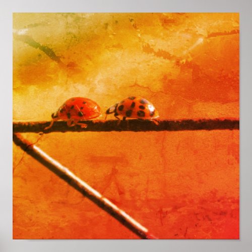 Ladybugs Play Follow The Leader Abstract Grunge Poster