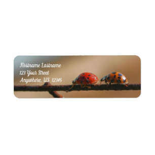 Ladybugs Play Follow The Leader Address Label