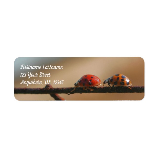 Ladybugs Play Follow The Leader Address Label (Front)