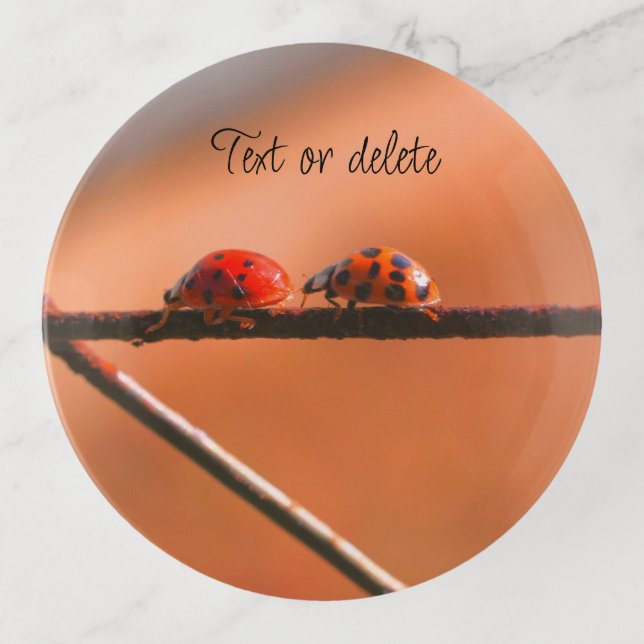 Ladybugs Play Follow The Leader Personalized Trinket Tray (Front)