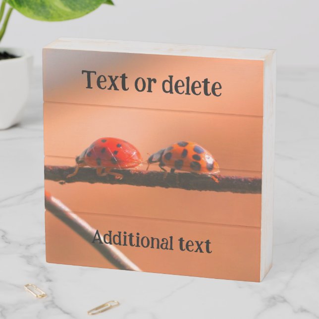 Ladybugs Play Follow The Leader Personalized Wooden Box Sign (In Situ Horizontal)
