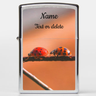 Ladybugs Play Follow The Leader Personalized Zippo Lighter