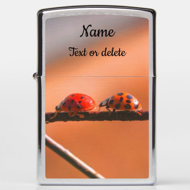 Ladybugs Play Follow The Leader Personalized Zippo Lighter (Front)