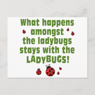 Ladybugs Postcard