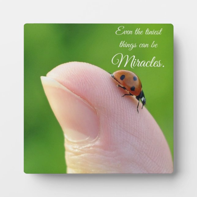 Ladybugs "Smallest Miracles" Plaque Gift (Front)