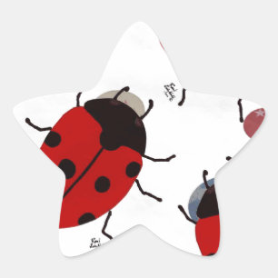 LADYBUGS STAR STICKER