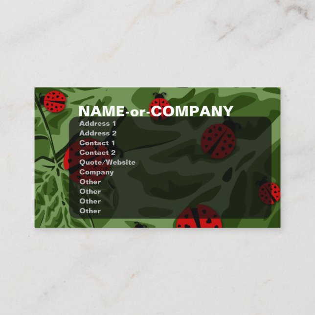 ladybugz. business card (Front)