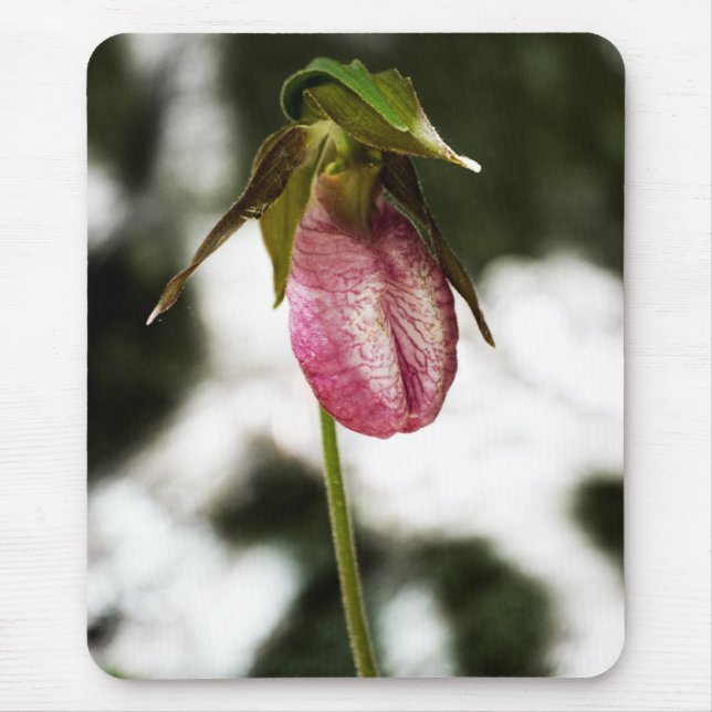 Lady's Slipper #8299 Mousepad (Front)