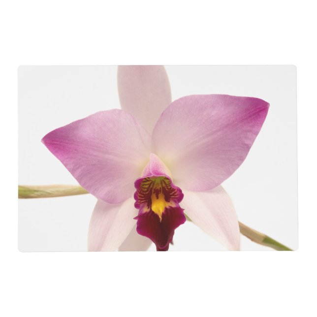 Laelia Ancep Placemat (Front)
