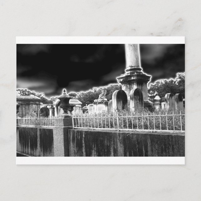 Lafayette Cemetery Postcard (Front)
