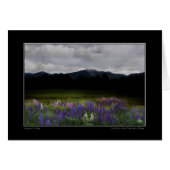 Lafayette Lupine Mindscape (Front Horizontal)