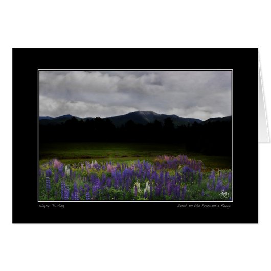 Lafayette Lupine Mindscape Cards (Front Horizontal)