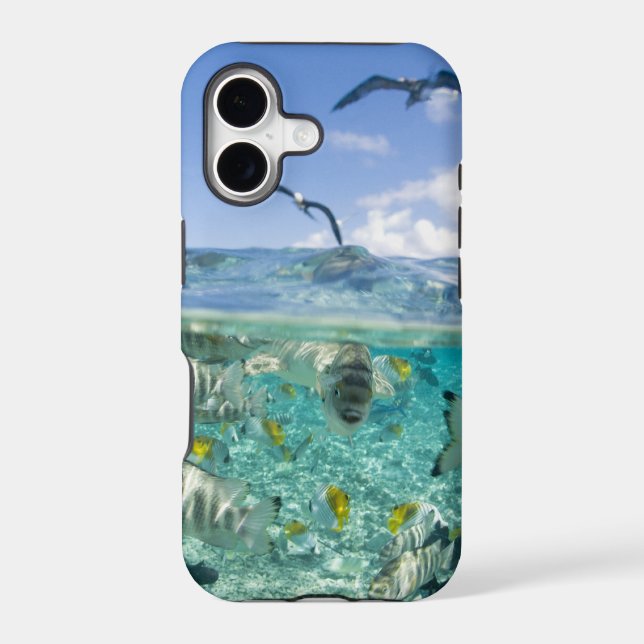 Lagoon safari trip featuring Stingrays Iphone Case (Back)