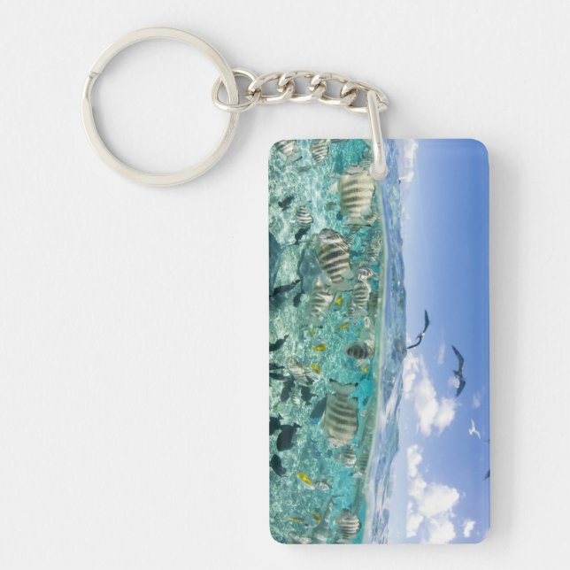 Lagoon safari trip featuring Stingrays Keychain (Front)