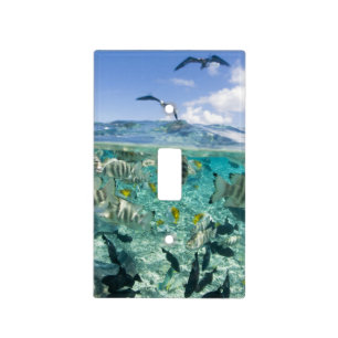Lagoon safari trip featuring Stingrays Light Switch Cover