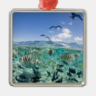 Lagoon safari trip featuring Stingrays Metal Ornament