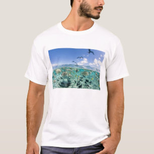 Lagoon safari trip featuring Stingrays T-Shirt