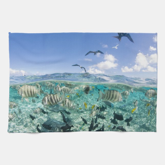 Lagoon safari trip featuring Stingrays Towel (Horizontal)