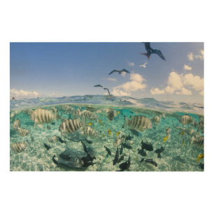 Lagoon safari trip featuring Stingrays Wood Wall Art
