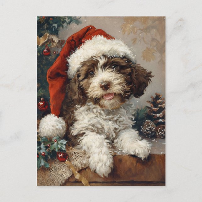 Lagotto Romagnolo Christmas Postcard (Front)