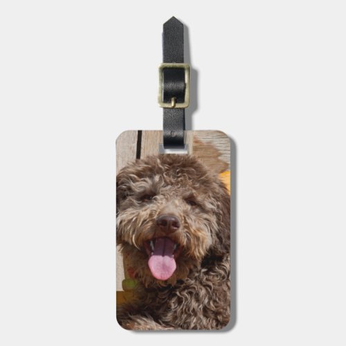 Lagotto Romagnolo Lying On A Wooden Bench Luggage Tag