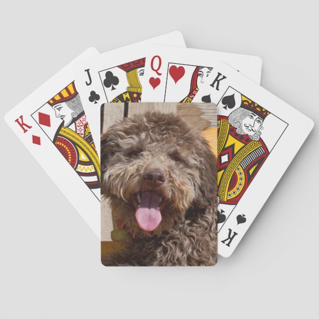 Lagotto Romagnolo Lying On A Wooden Bench Poker Cards (Back)