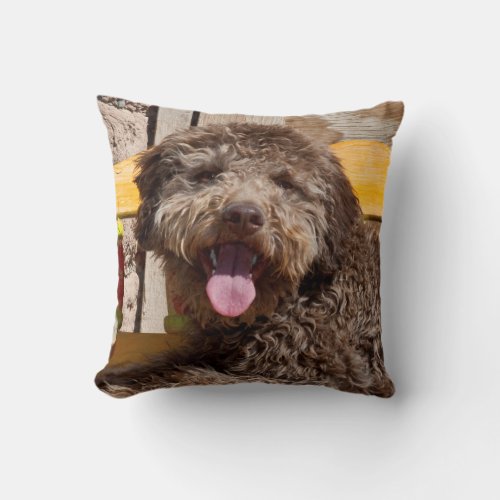Lagotto Romagnolo Lying On A Wooden Bench Throw Pillow