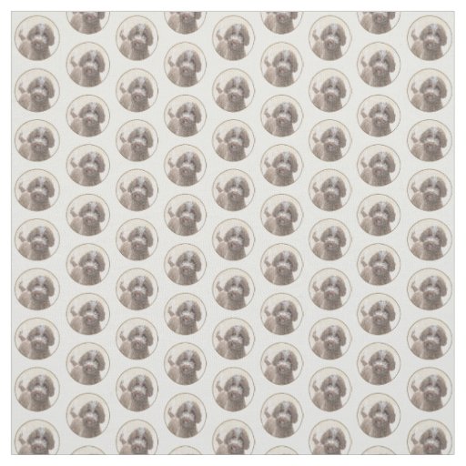 Lagotto Romagnolo Painting - Cute Original Dog Art Fabric