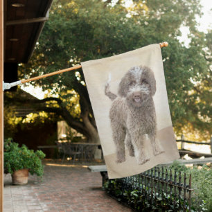 Lagotto Romagnolo Painting - Cute Original Dog Art House Flag