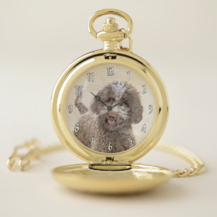 Lagotto Romagnolo Painting - Cute Original Dog Art Pocket Watch
