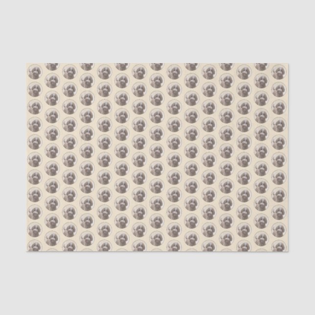 Lagotto Romagnolo Painting - Cute Original Dog Art Tissue Paper (Front)