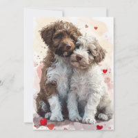 Lagotto Romagnolo Valentine's day