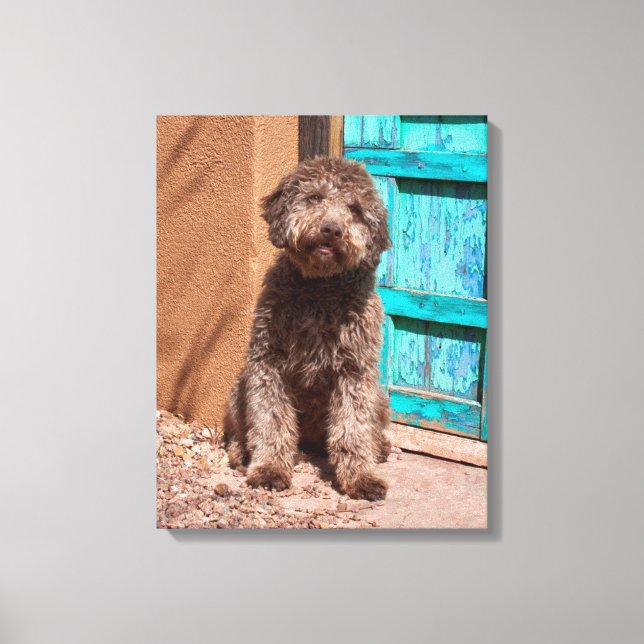 Lagotto Romagnolo Waiting By A Blue Door Canvas Print (Front)