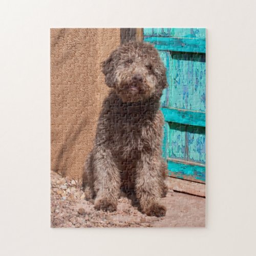 Lagotto Romagnolo Waiting By A Blue Door Jigsaw Puzzle