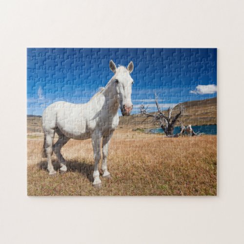Laguna Azul landscape with horses Jigsaw Puzzle