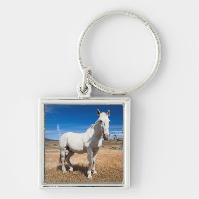 Laguna Azul, landscape with horses Keychain (Front)