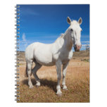 Laguna Azul, landscape with horses Notebook Laguna Azul, landscape with horses Notebook