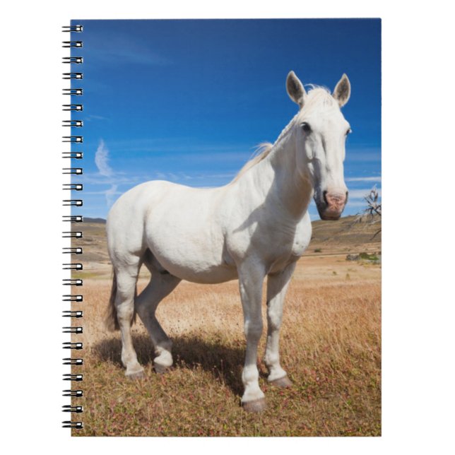 Laguna Azul, landscape with horses Notebook (Front)