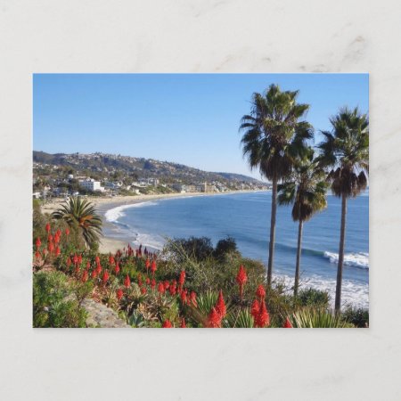 Laguna Beach California Postcard